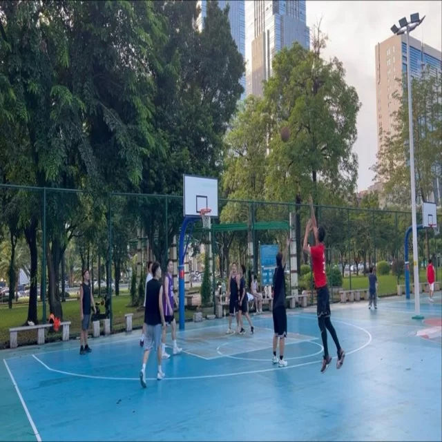 乒乓世界杯名单正式公布
